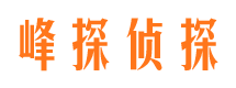 诸城市婚姻调查